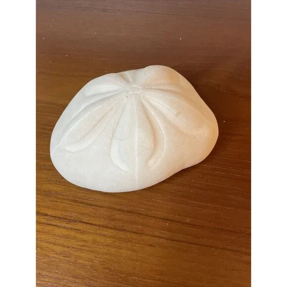 Puffy Sea Biscuit Sand Dollar Large Fossil Seashell Nautical Ocean Beach Decor - Picture 3 of 6